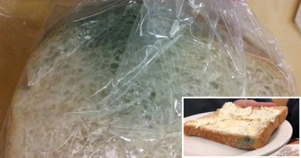 y6 13.png?resize=412,275 - Child Given A Sandwich With Mold On It At School