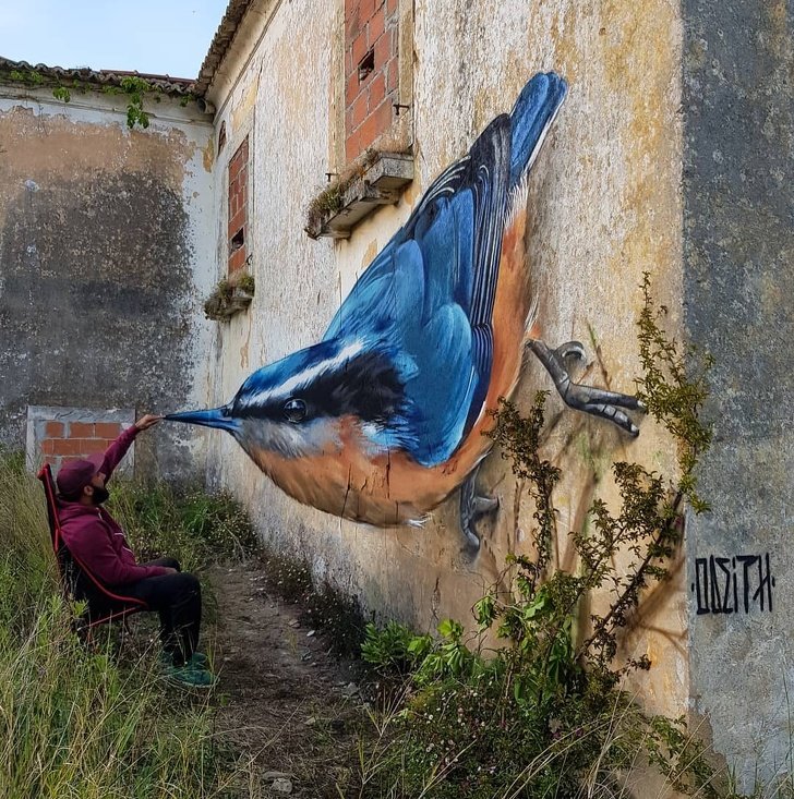 20 Fantastic Murals That’ll Stop You in Your Tracks