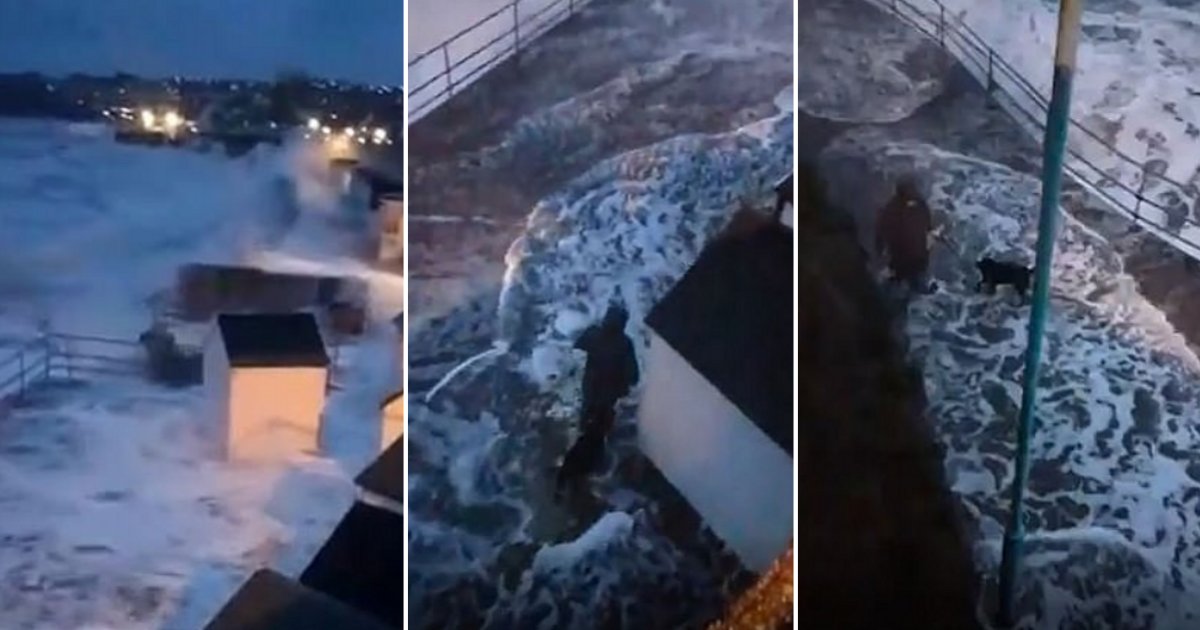72677324 448517629113139 5108133007475081216 n.png?resize=1200,630 - Dog Walker Almost Swept Out To Sea Due To An Enormous Wave