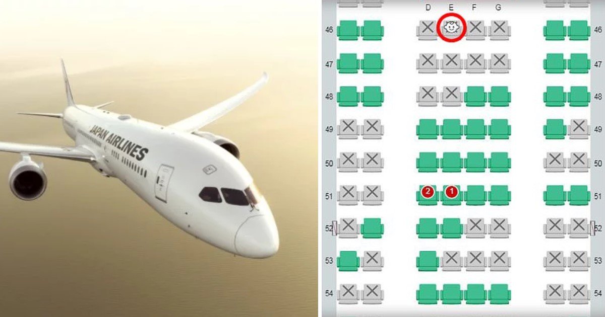 a.jpg?resize=1200,630 - Un compagnie aérienne propose à ses clients de savoir où seront assis les enfants pendant le vol