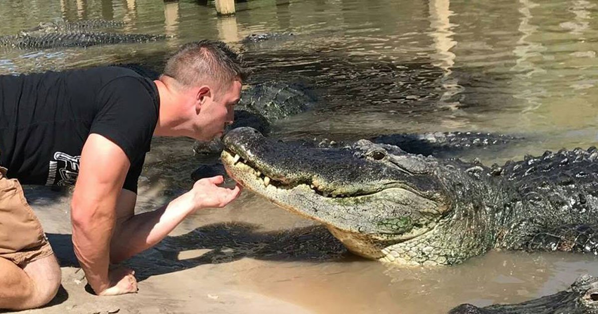 animal handler gator best friend.jpg?resize=412,275 - Animal Handler - Who Is Friends With A 14-ft Alligator - Also Has A 16-ft Anaconda And Pet Alligators At His Home