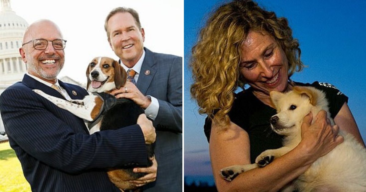 animals5.png?resize=412,275 - People Who Hurt Animals Now Face SEVEN Years In Jail As US House of Representatives Passes New Bill
