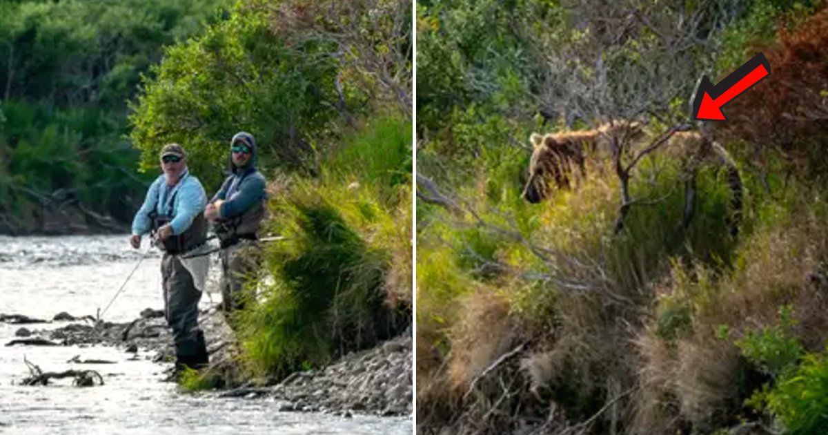 bear5.png?resize=1200,630 - Un ours se faufile silencieusement vers deux hommes peu méfiants qui tentaient d'attraper du saumon