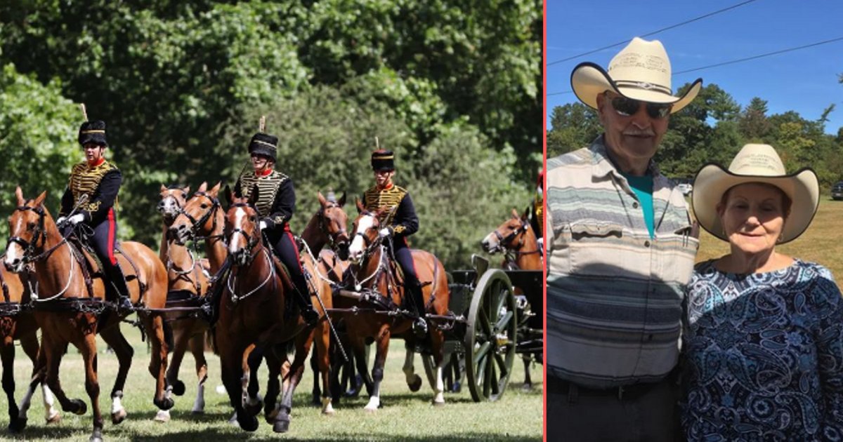 d 2 3.png?resize=412,275 - Become The Horse Caretaker at the Buckingham Palace and Make a Fortune as You Live There