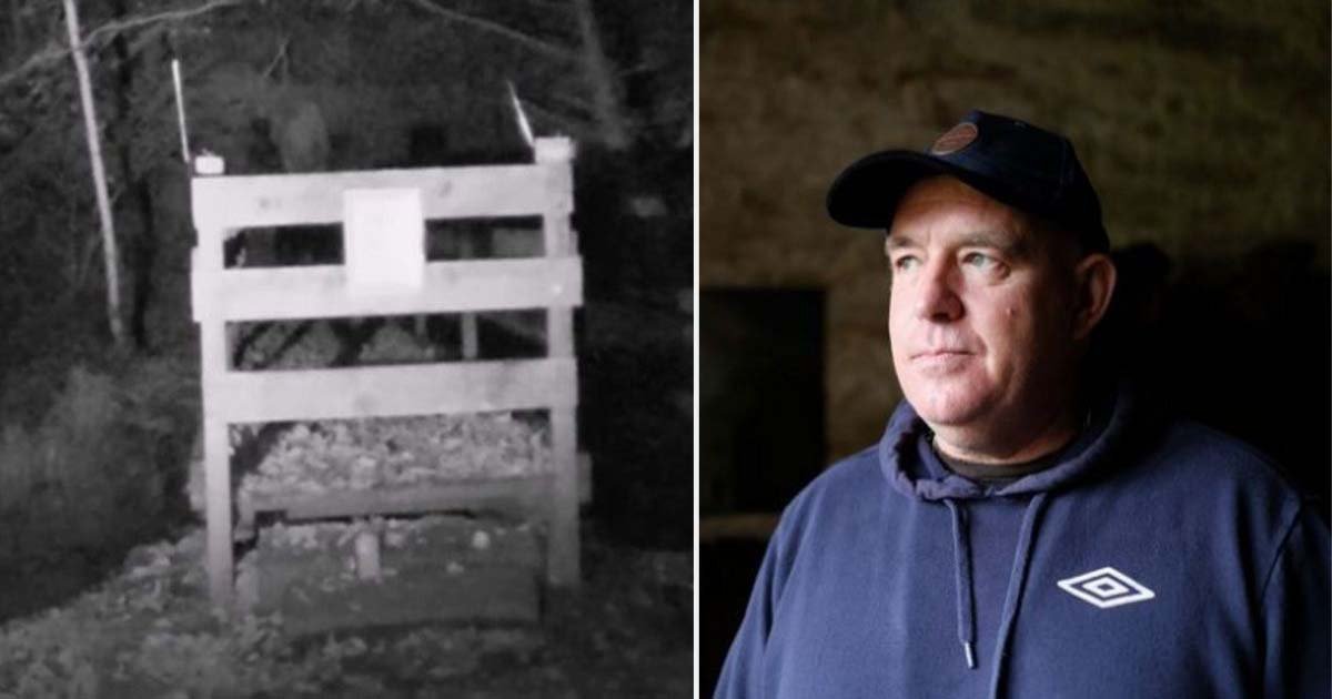 d5.jpg?resize=1200,630 - 47-Year-Old Ghost Hunter Claims to Have Captured an Actual Video of Spirits Rising From The Grave