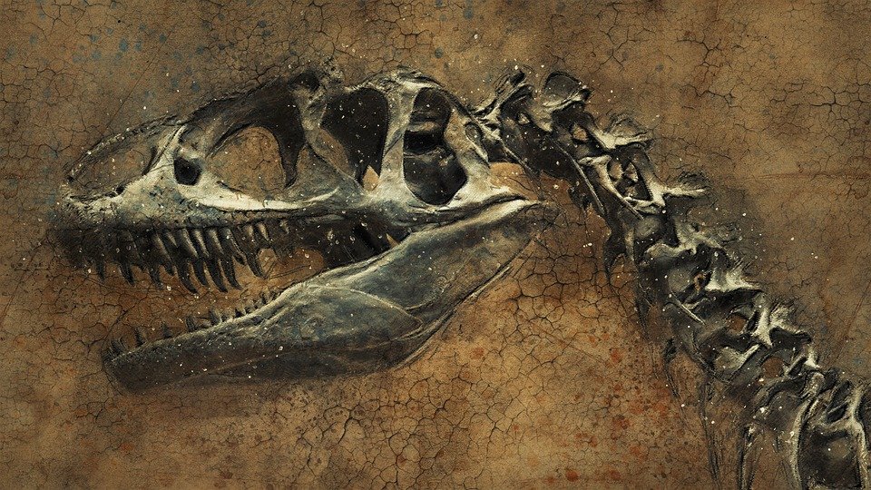 dino.jpg?resize=412,275 - Des chercheurs confirment une hypothèse de l’extinction de masse d'il y a 66 millions d'années