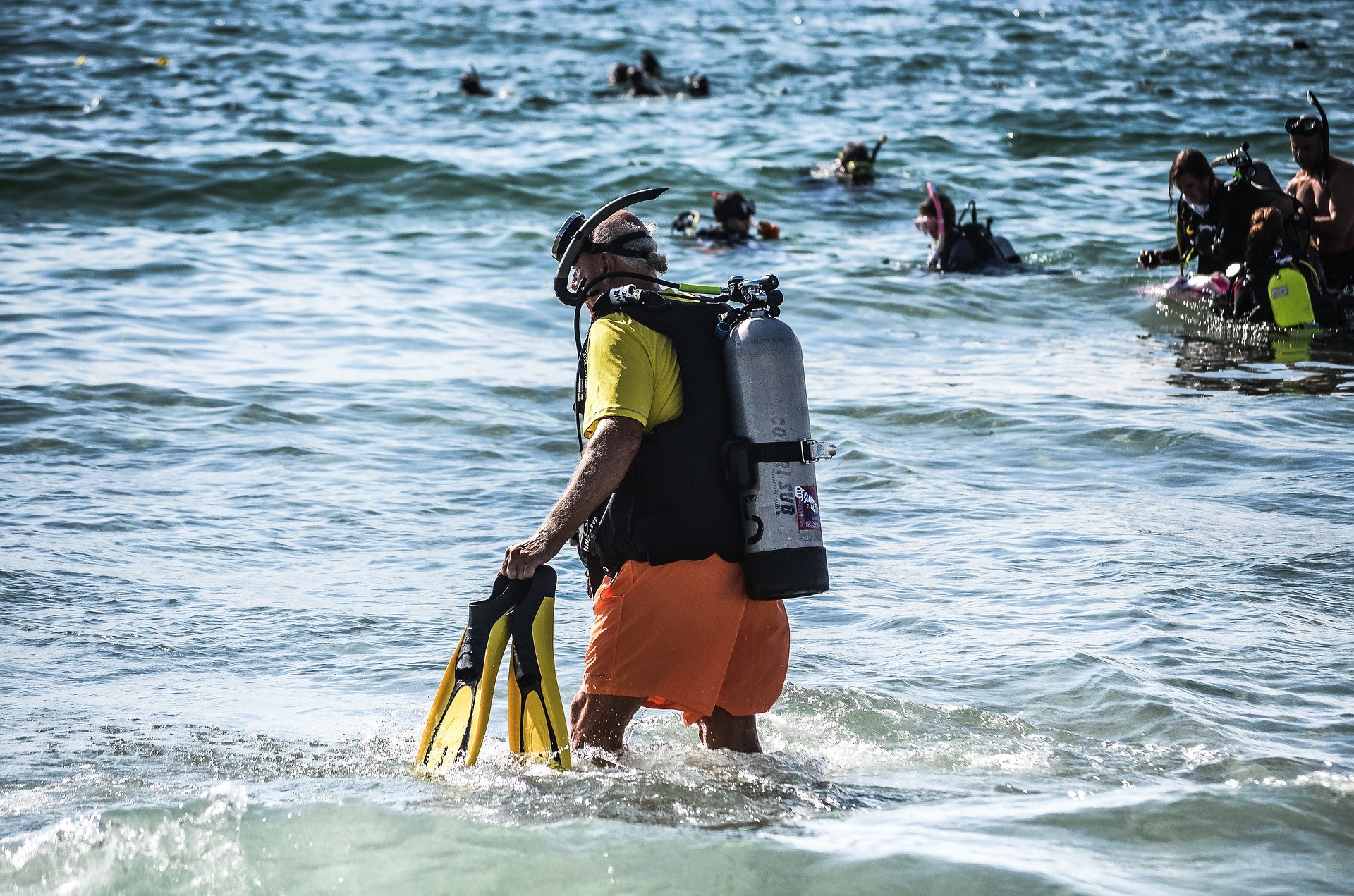 diver 2506894 1920.jpg?resize=1200,630 - Record du monde : 633 plongeurs ont nettoyé les fonds marins en Floride