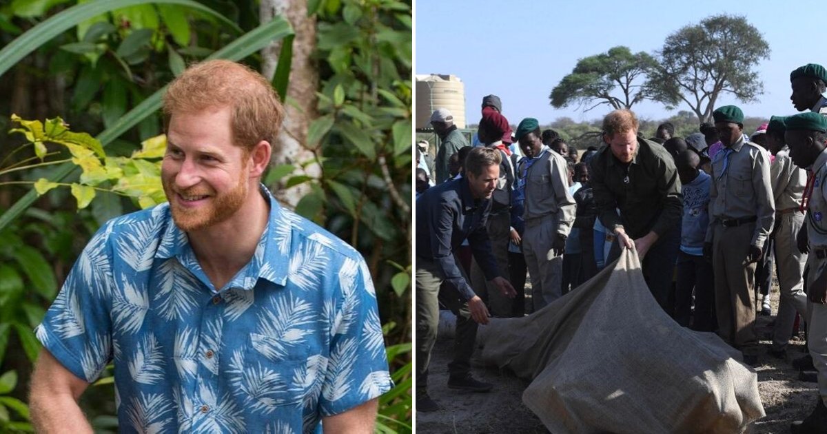duke5.png?resize=412,232 - Prince Harry Urges Everyone To Join Together To Fight Climate Change