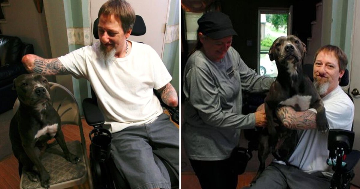 ellie6.png?resize=412,275 - Man Who Lost His Nose And Limbs Because Dog Licked His Face Remains Loyal To His Pet
