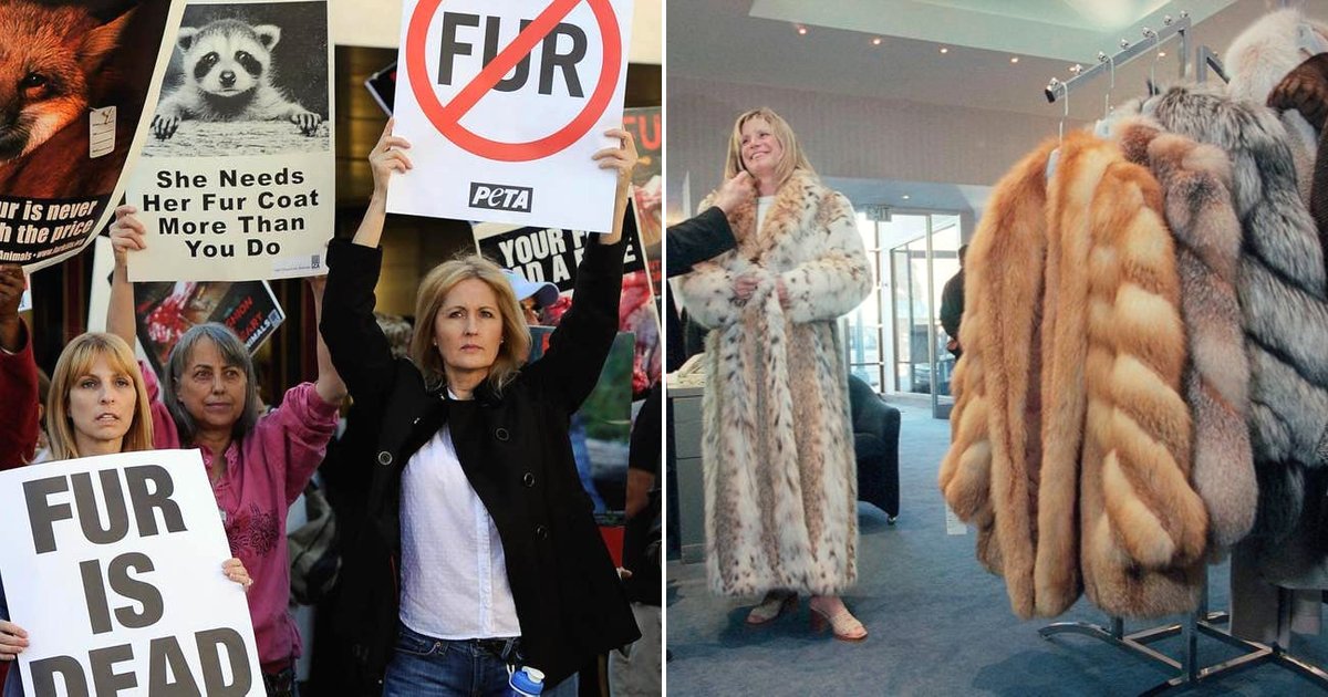 fur5.png?resize=1200,630 - California Becomes The First State To Ban The Manufacture And Sale Of Animal Fur