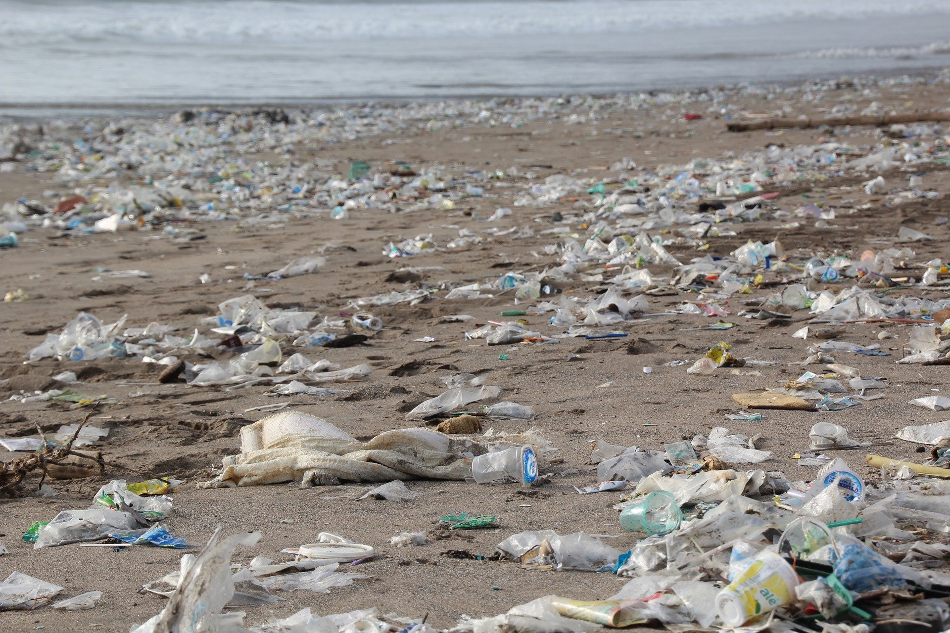 garbage 2369821 1920.jpg?resize=1200,630 - Déchets plastiques : les entreprises qui polluent le plus la planète