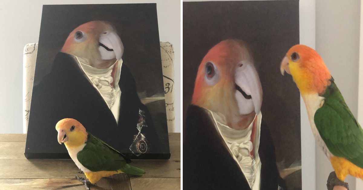 ggg.jpg?resize=1200,630 - Parrots Admires Himself Over His Portrait Calling Him A "Pretty Boy"