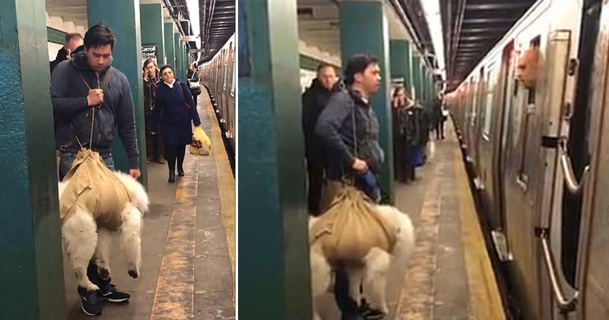 man carries dog subway conductore refused.jpg?resize=1200,630 - Un homme a essayé de monter dans un train avec son chien dans un sac en toile de jute - le conducteur a refusé de le laisser monter à bord du train