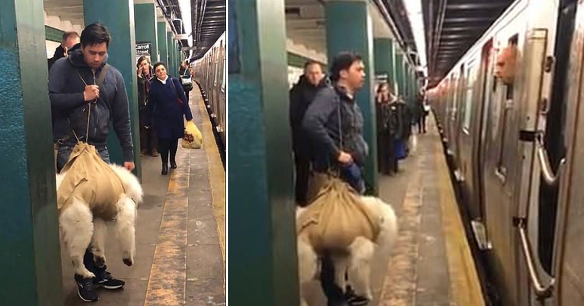 man carries dog subway conductore refused.jpg?resize=412,275 - Man Tried To Get On A Train With His Dog In A Burlap Sack - The Conductor Refused To Let Him Board The Train