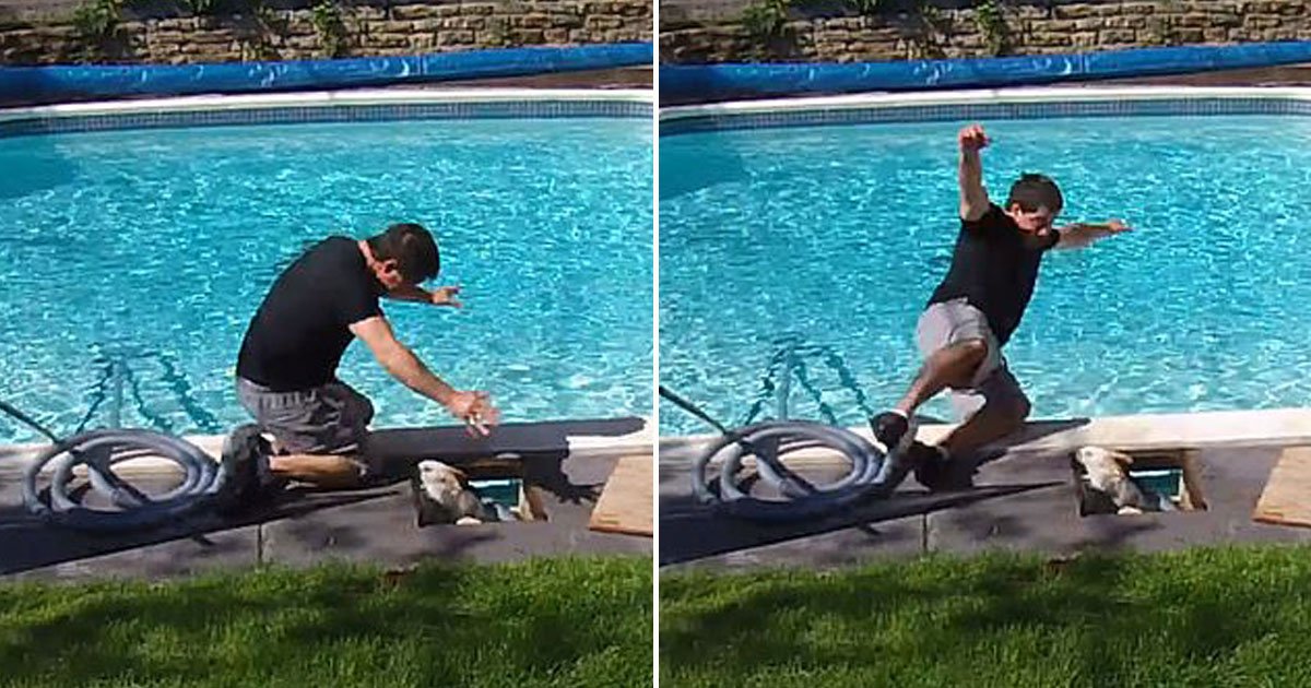 man rabbit poll skimmer.jpg?resize=1200,630 - Man Fell Into The Water After A Rabbit Jumped Out Of His Pool Skimmer Unexpectedly