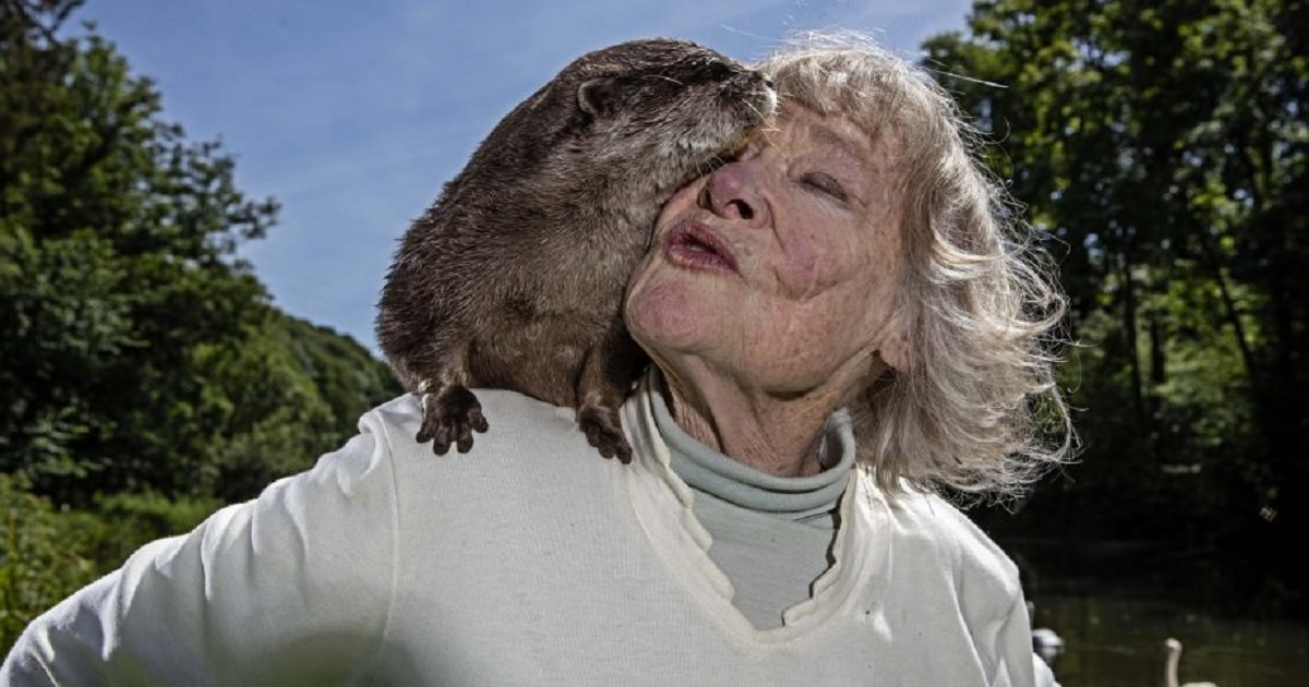o3 2.jpg?resize=1200,630 - A Woman With Great Passion For Otters Walk Around With An Otter On Her Shoulder