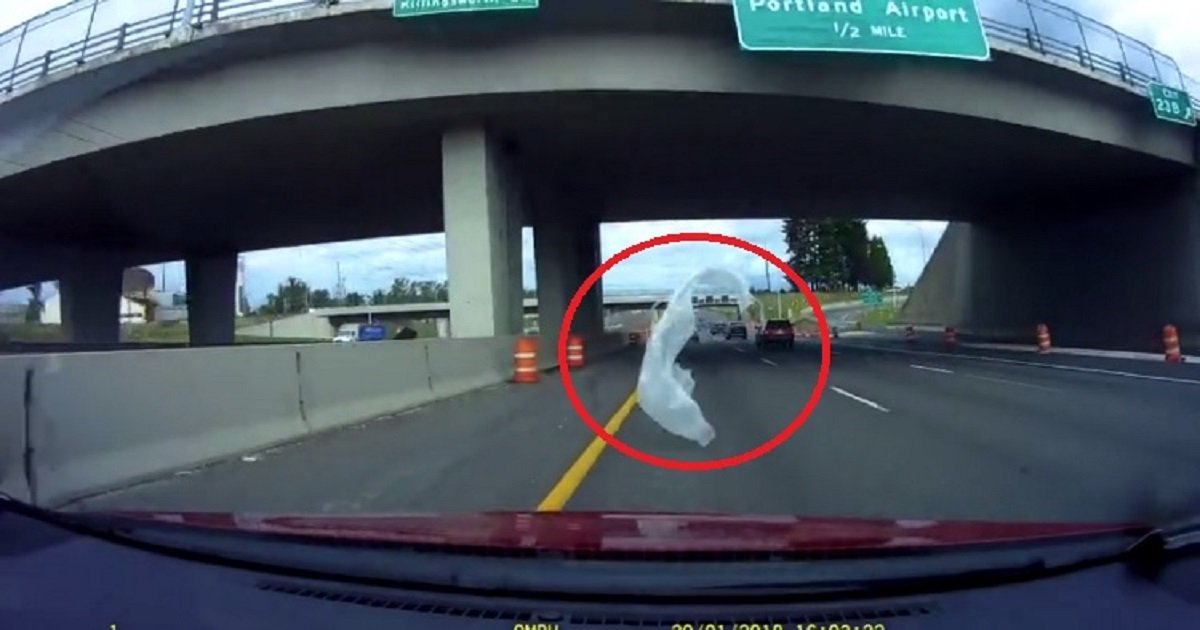 p3 5.jpg?resize=412,232 - Une feuille de plastique recouvre subitement le pare-brise d'une voiture sur une autoroute