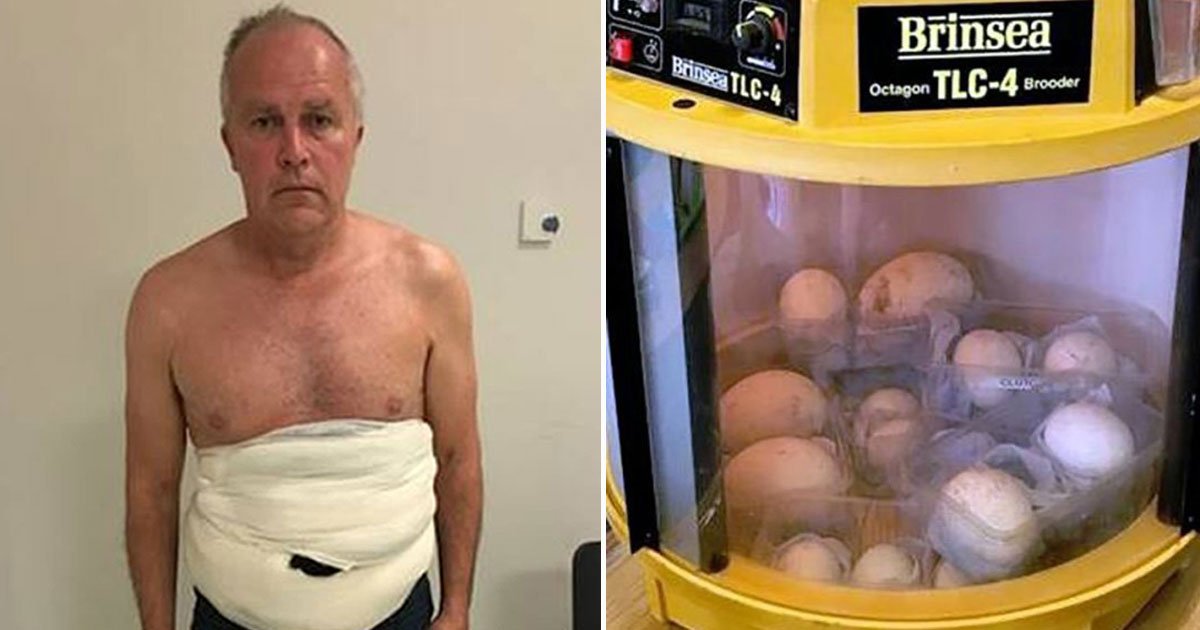 pablo escobar of egg trade.jpg?resize=1200,630 - SAS Wildlife Hunter Dubbed ‘Pablo Escobar Of The Egg Trade’ Caught With Rare Eggs Worth £100,000