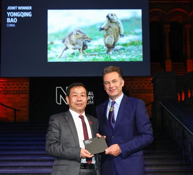 pinterest.jpeg?resize=412,275 - Voici la photo d'animaux de l'année 2019 : Le grand gagnant est un photographe chinois