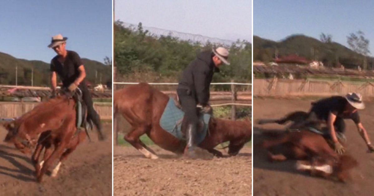 s 1 8.png?resize=1200,630 - Smart Horse Pretends to be Dead Whenever Someone Tries to Ride Him