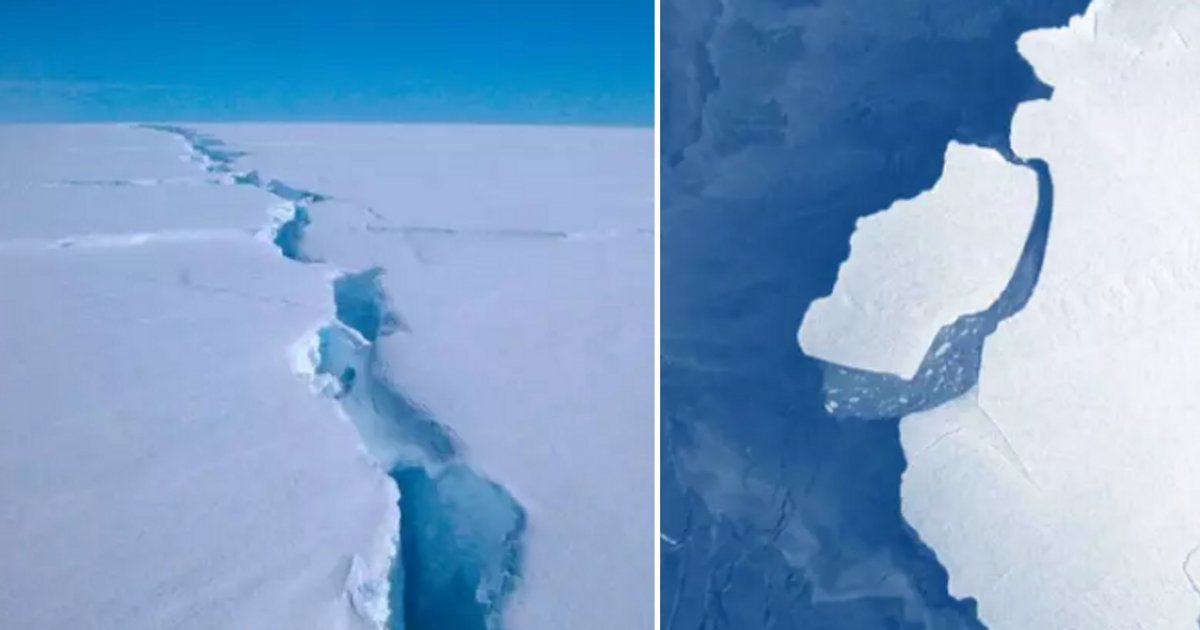 s 3 1.png?resize=1200,630 - Antarctica Has A Broken Iceberg The Size of Sydney Floating in The Sea