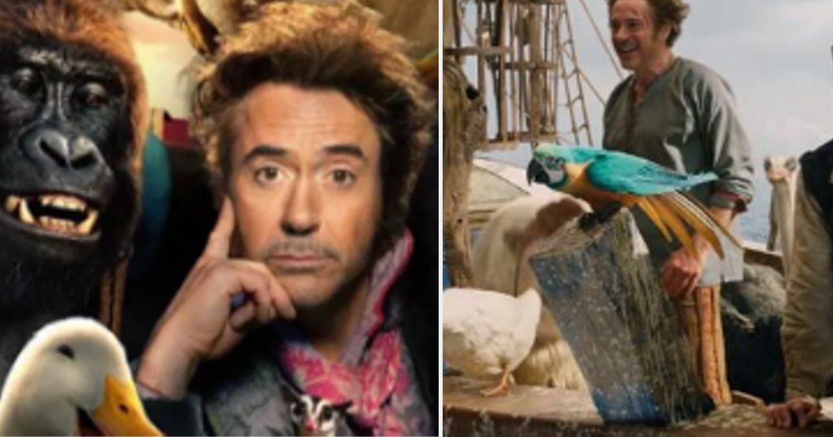 s4 4.png?resize=412,275 - Robert Downey Jr est le Dr Dolittle dans le nouveau remake du célèbre film