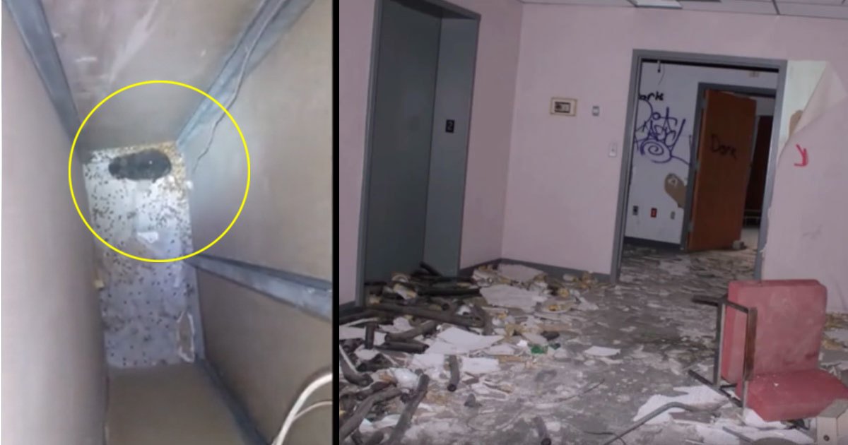 sdfsdf.jpg?resize=412,275 - Un photographe a sauvé un chaton de 4 mois coincé dans un hôpital abandonné