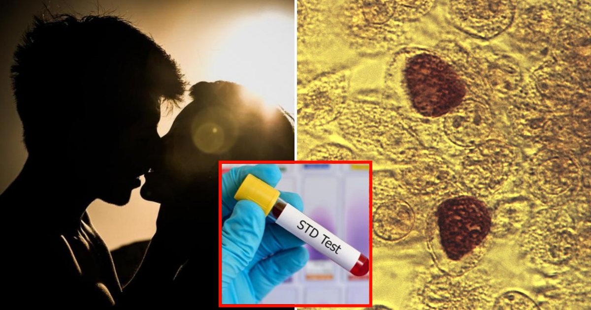 std4.png?resize=412,275 - Three STDs In The US Have Risen For The Fifth Consecutive Year, The CDC Says