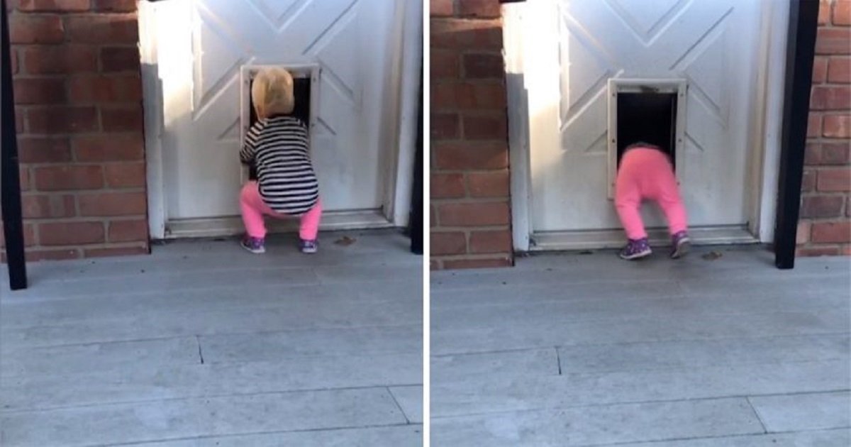 t3 2.jpg?resize=1200,630 - Adorable Toddler Discovered The Wonders Of Dog Doors And Now She Can't Stop Using It