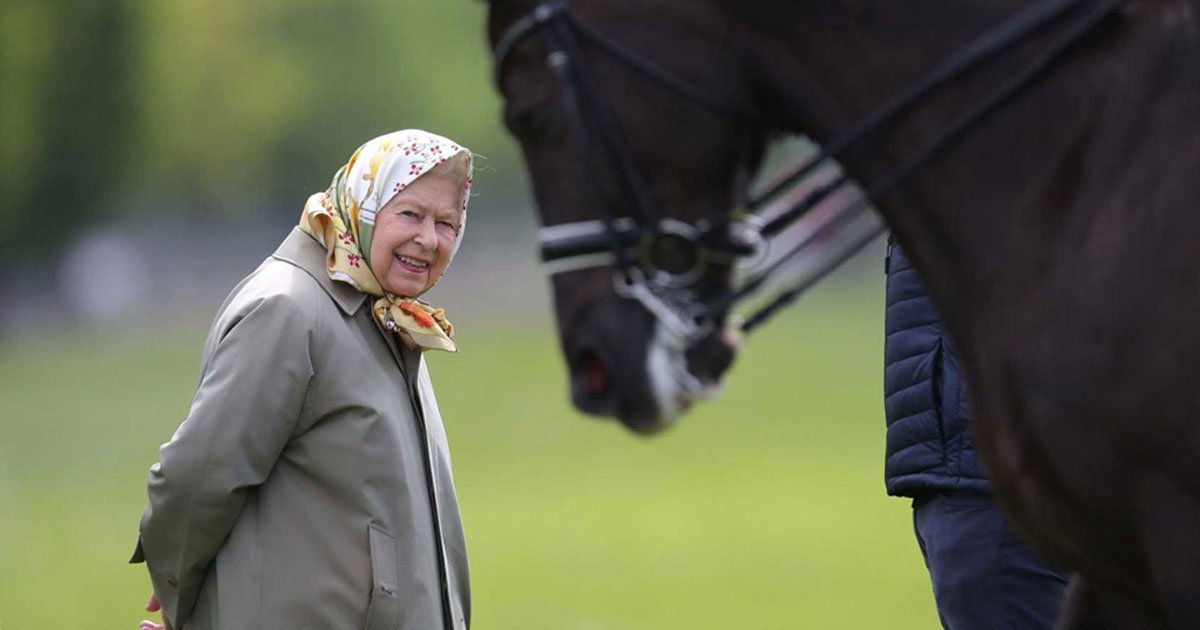 the lucky candidate will get paid 22k to take care of the queens horses.jpg?resize=1200,630 - A Lucky Candidate Will Get To Take Care Of The Queen’s Horses