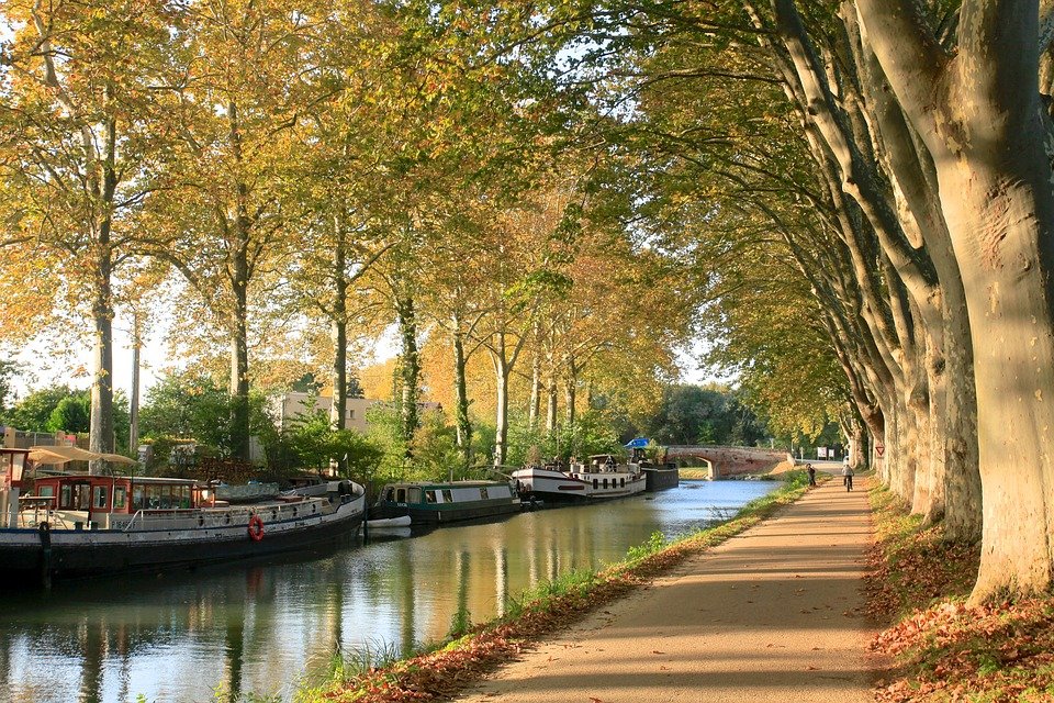 toulouse.jpg?resize=1200,630 - Le procès de la "démembreuse du Canal du Midi" a commencé depuis lundi