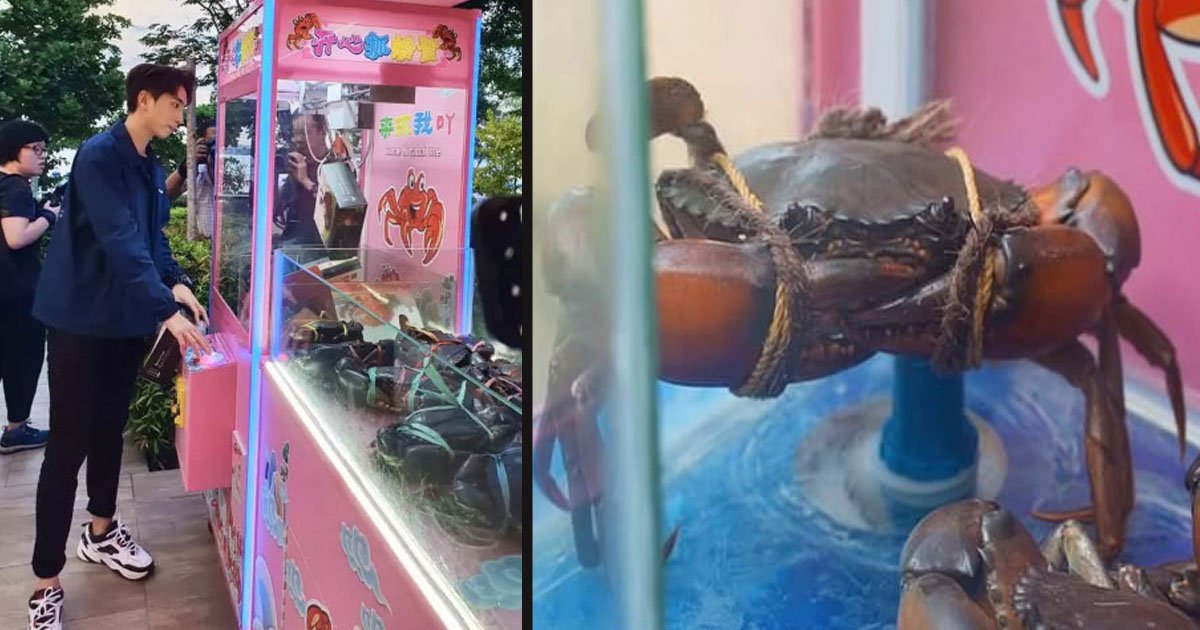 untitled 1 111.jpg?resize=412,232 - A Restaurant In Singapore Was Slammed By Animal Rights Groups For Their Grab-A-Crab Machine