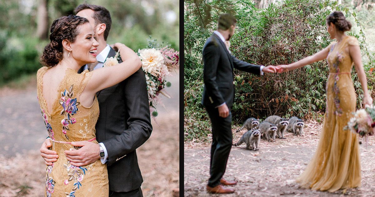 untitled 1 29.jpg?resize=412,232 - An Adorable Family Of Raccoons Crashed A Wedding Photoshoot