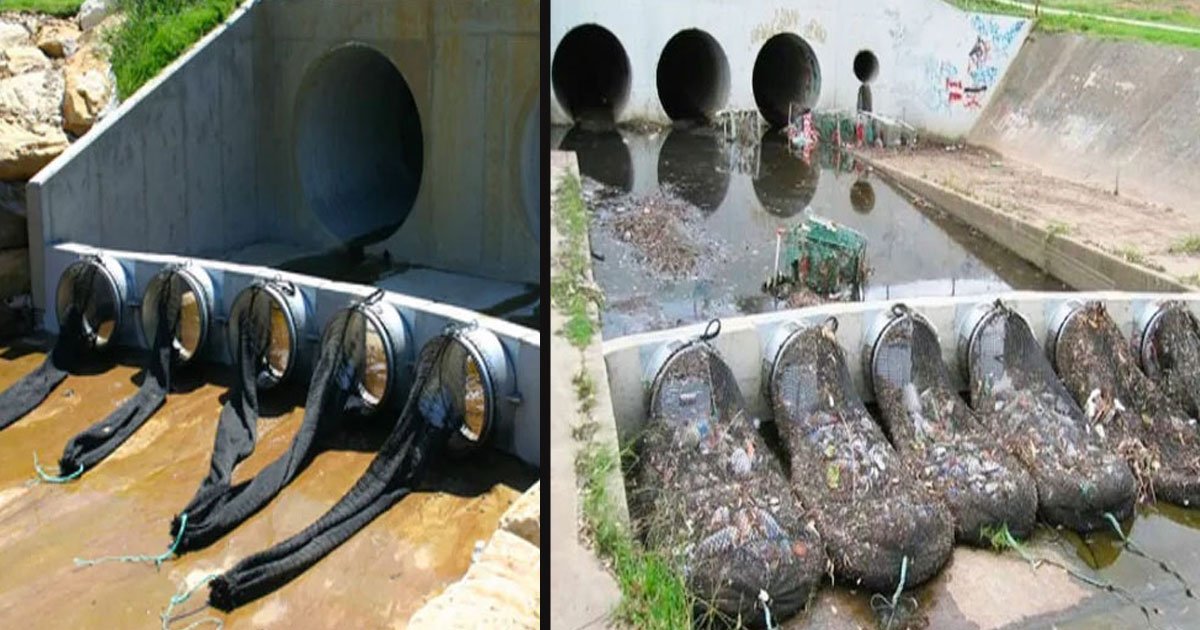untitled 1 32.jpg?resize=1200,630 - Une ville a installé des filets de drainage dans sa réserve d’eau pour résoudre les problèmes de déchets