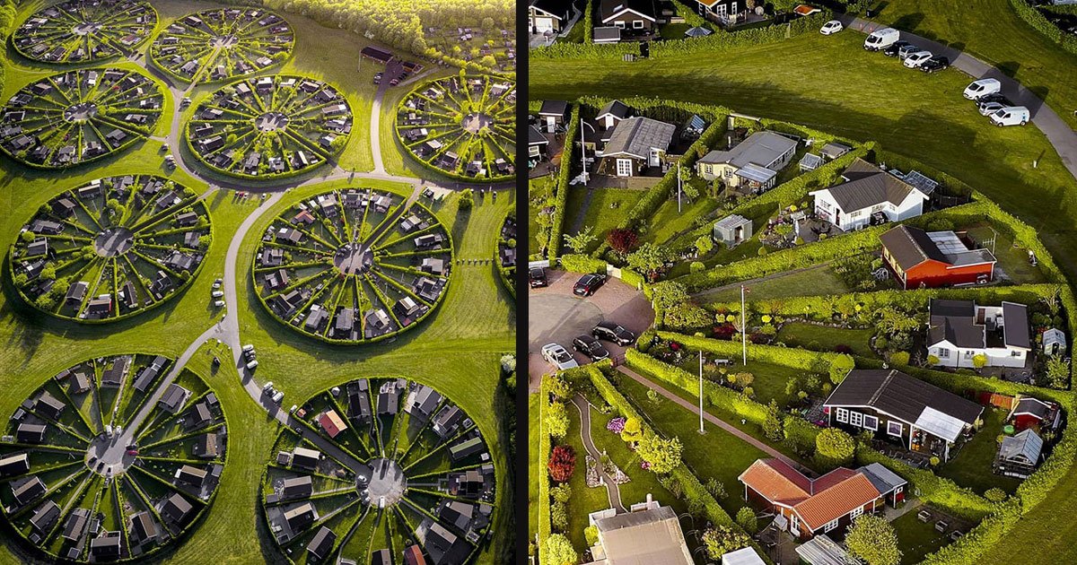 untitled 1 39.jpg?resize=1200,630 - Une communauté unique au Danemark vit dans des jardins en cercles surréalistes
