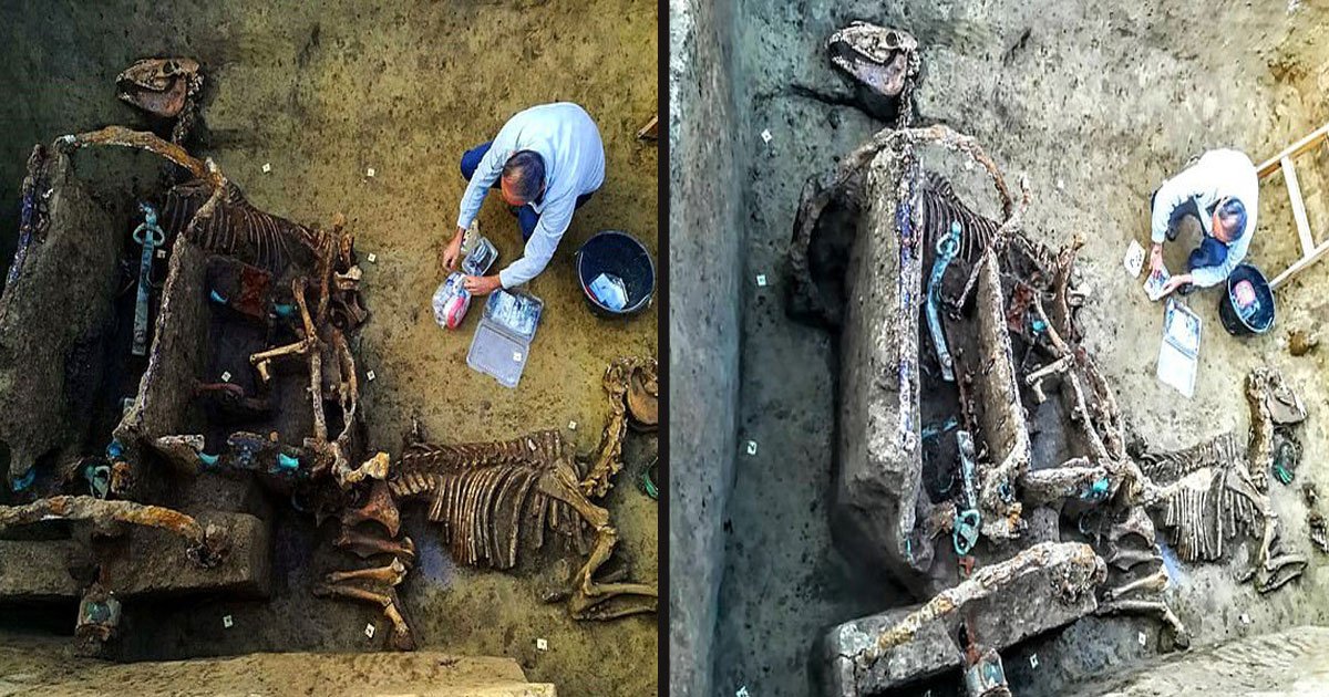 untitled 1 72.jpg?resize=412,275 - Chariot Buried With 2 Horses 1,700 Years Ago As Part Of A 'Ritual' For Wealthy Family Found In Croatia