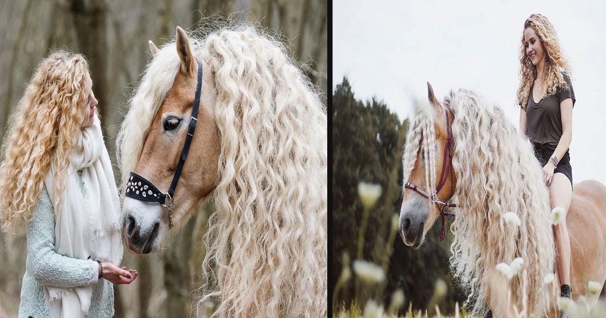 untitled 1 8.jpg?fit=1024%2C538&ssl=1&strip=all - This Beautiful Horse Looks Like It Just Stepped Out From A Fairy Tale