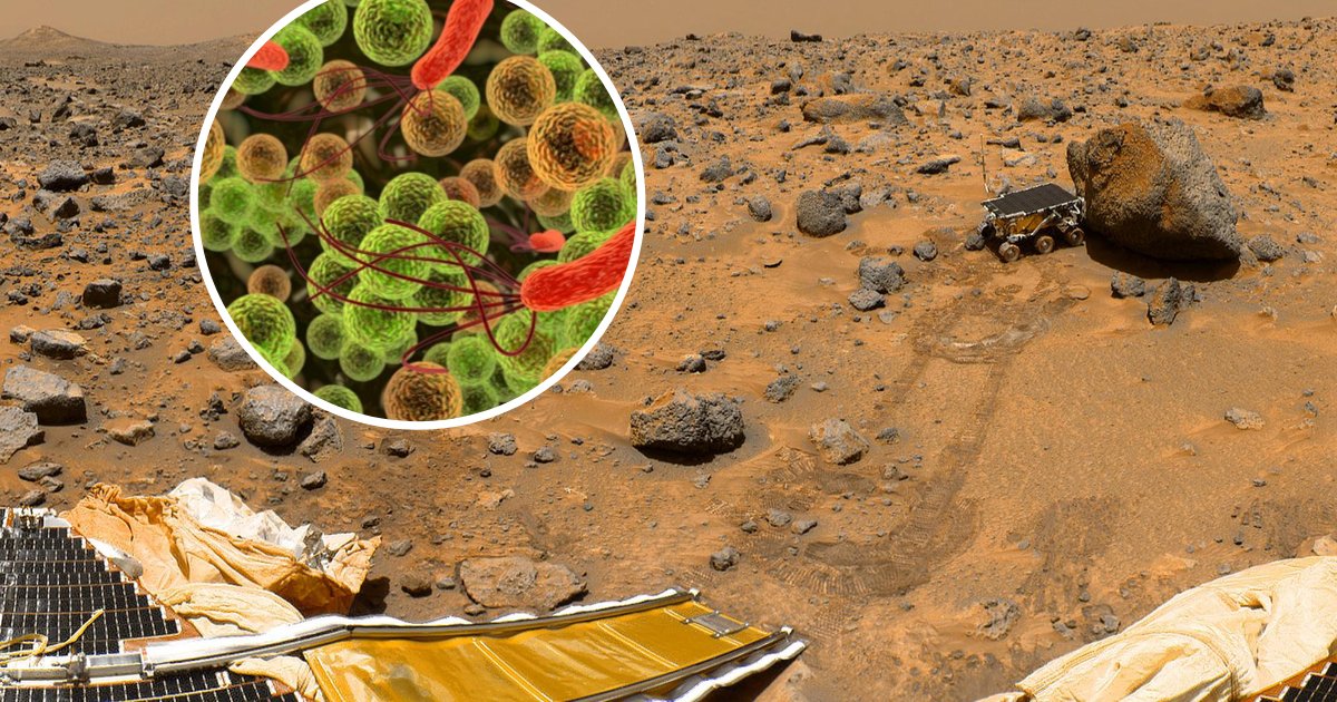 NASA Scientist Revealed He Is Certain They Discovered Alien Life On ...