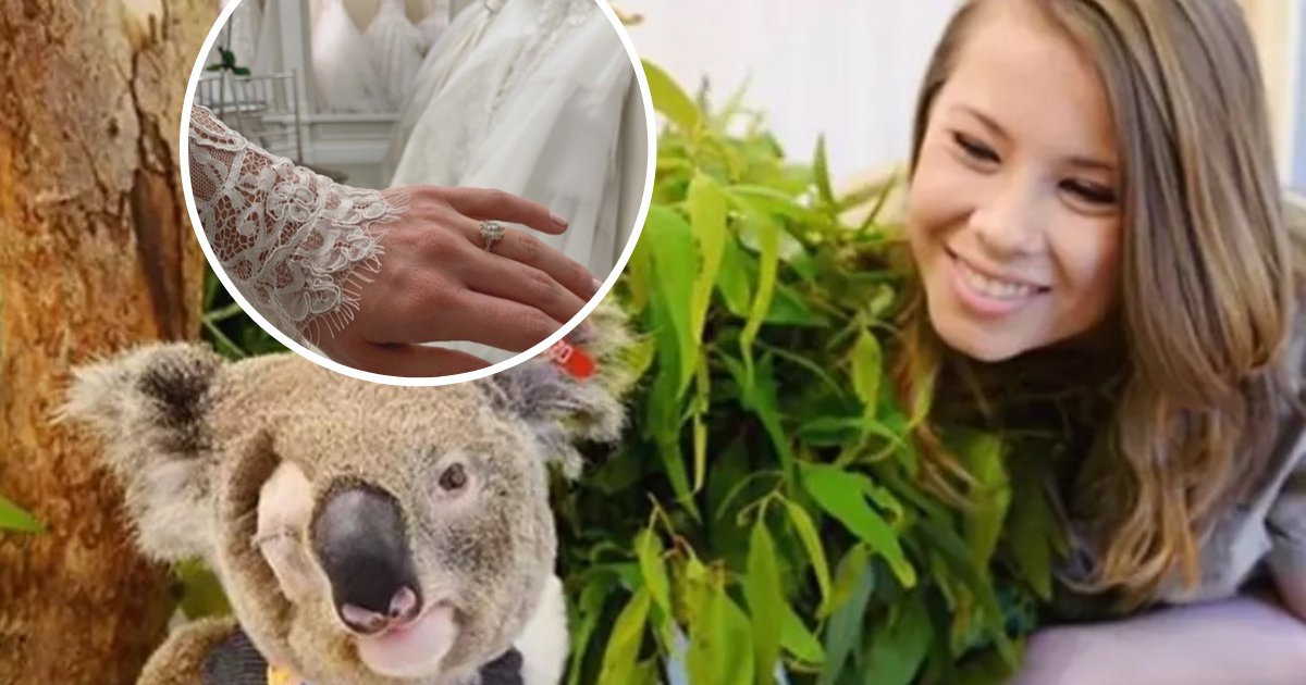 untitled design 4.png?resize=1200,630 - Steve Irwin's Daughter Said She Will Walk Down The Aisle With A Koala On Her Wedding