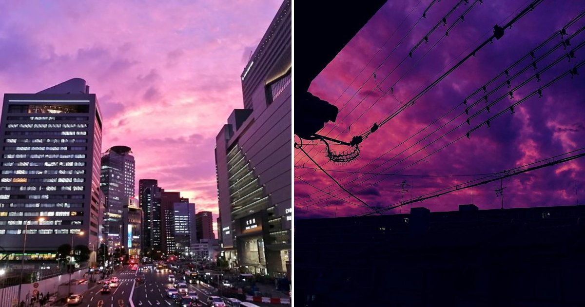 untitled design 57 1.png?resize=1200,630 - Le ciel a viré au violet quelques instants avant que le typhon Hagibis ne frappe le Japon