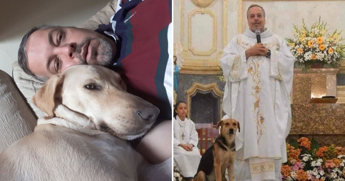 untitled design 99.png?resize=412,232 - Kind Priest Lets Stray Dogs Attend Mass In His Church To Help Them Find New Homes