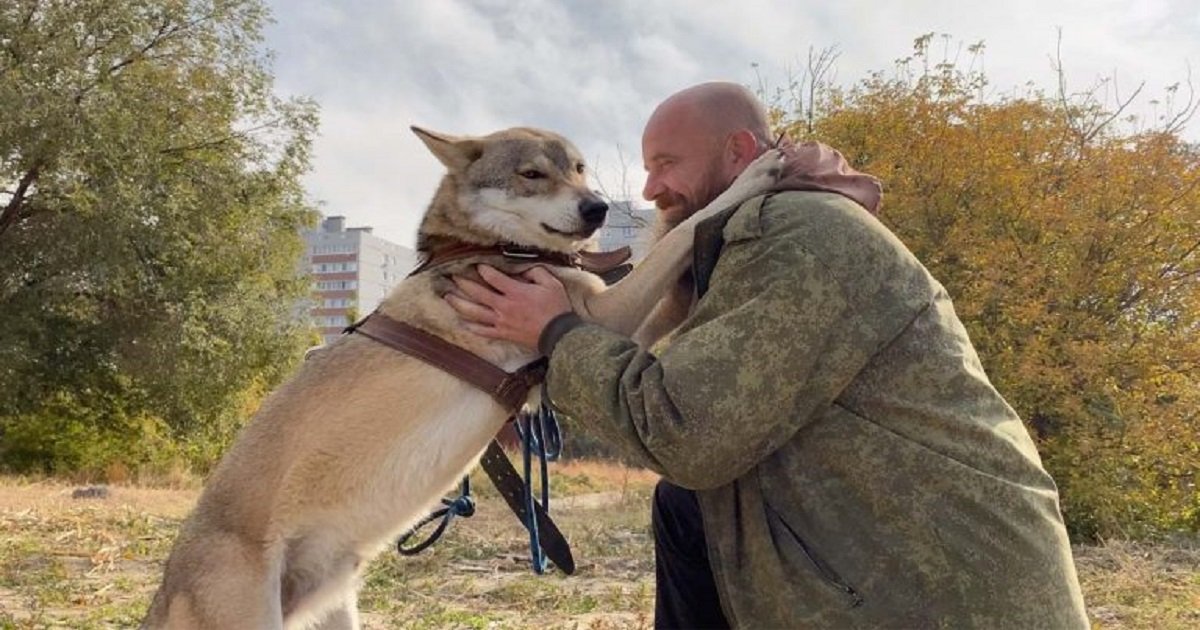 w3 4.jpg?resize=412,275 - Family Has Been Raising A Wolf At Home And They Say He's Very Well-Behaved