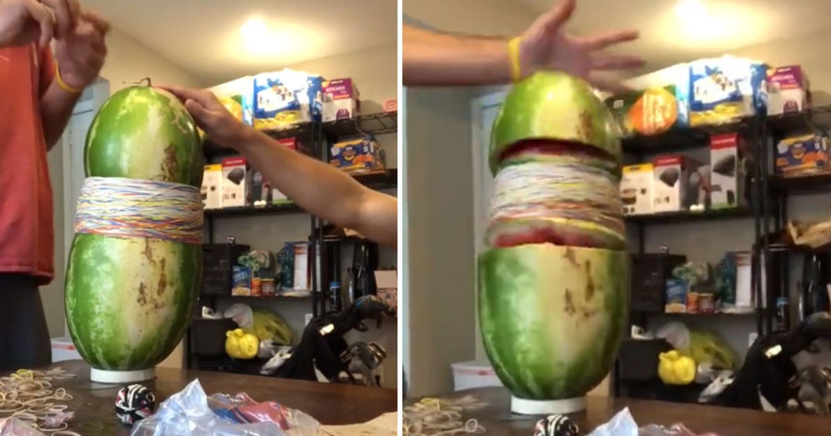 watermelon rubber band trick.jpg?resize=412,275 - Deux hommes ont explosé une pastèque en utilisant uniquement des élastiques