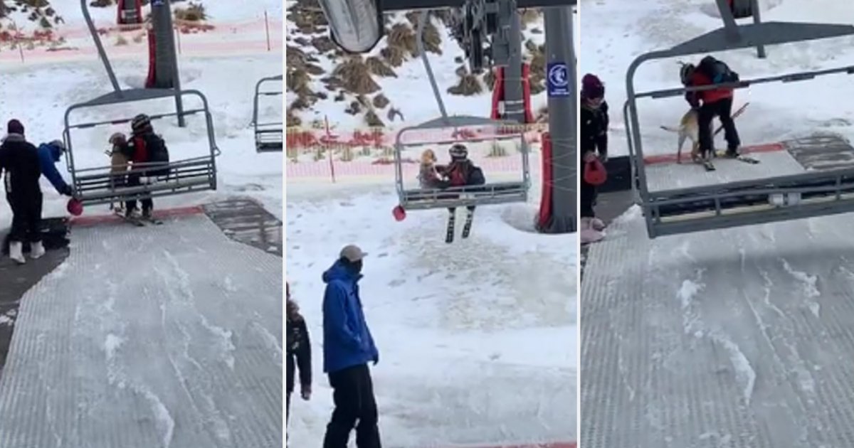 y1 3.png?resize=412,232 - Watch this Dog Show Off His Perfect Ski Lift Execution