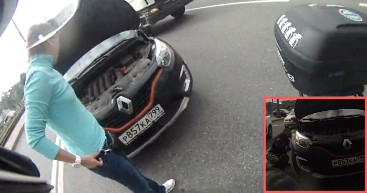 y3 5.png?resize=1200,630 - A Kind Motorist in Moscow Rescues a Kitten During Traffic