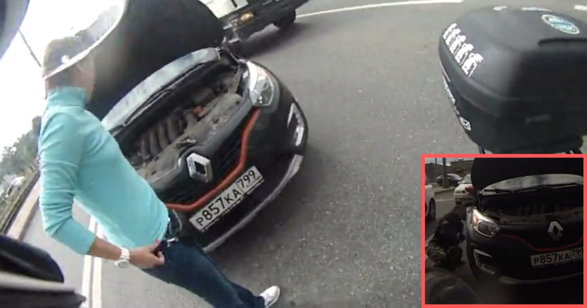 y3 5.png?resize=412,275 - A Kind Motorist in Moscow Rescues a Kitten During Traffic