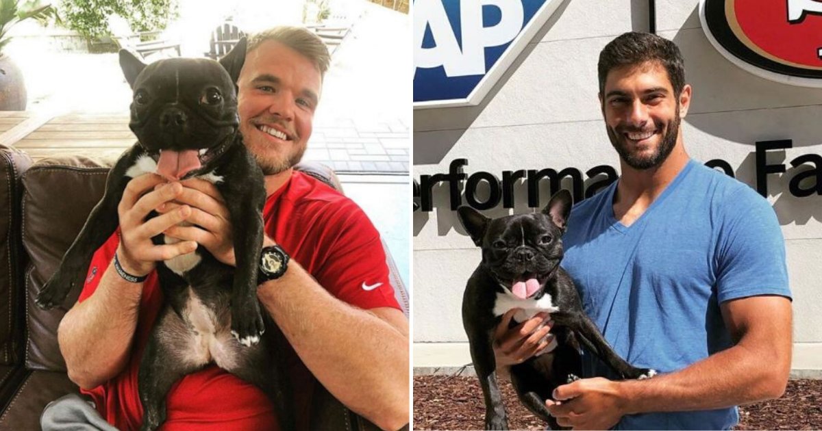 zoe5.png?resize=412,275 - Zoe The French Bulldog Becomes NFL's First Emotional Support Dog
