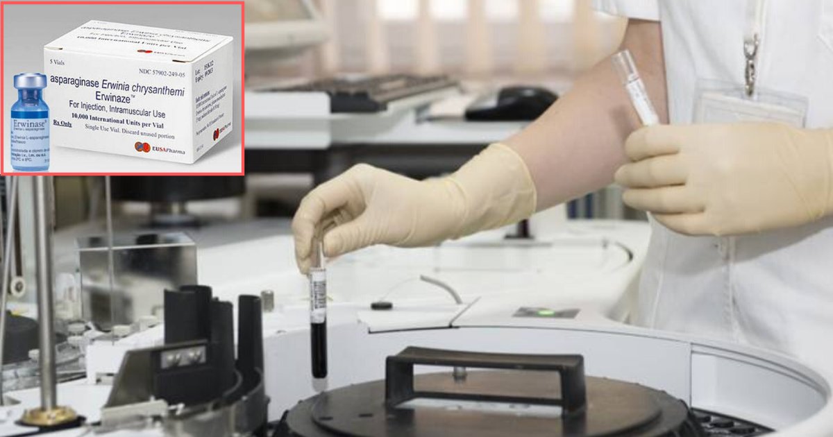 1 13.png?resize=412,275 - Drug Combination To Treat The Deadly Pancreatic Cancer