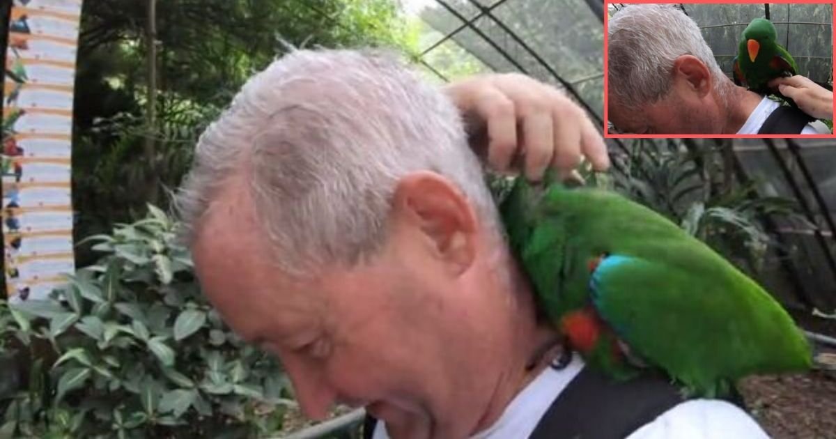 1 133.jpg?resize=1200,630 - Friend Recorded Friendly Encounter Between His Friend and A Parrot