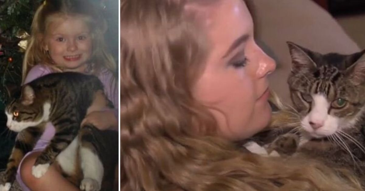 1 189.jpg?resize=412,275 - Woman Meets Her Fur Baby After a Decade